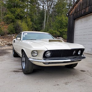 61